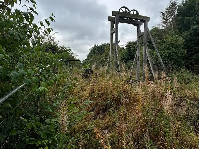 Overgrown brambles and vegetation covering old lock