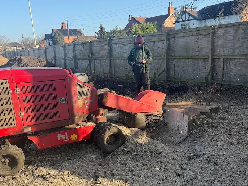 Stump grinding services in telford